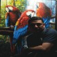 ROBIN  MONTES