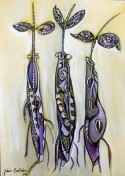 Three Purple Mangroves