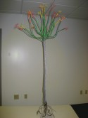 Mangrove Clone