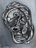 Chiton