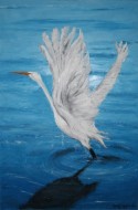 Swan