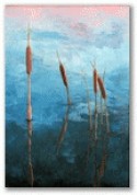 reflections
