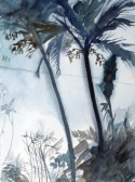 Indigopalm