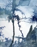Stilllight