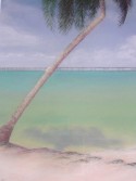 Bahia Honda