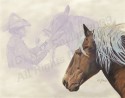 Horses Dream, Too