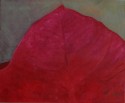 Flor