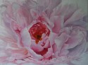 La Rosa