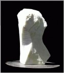 Torso