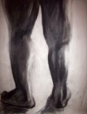 Calves Drawing