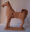 CAVALLO