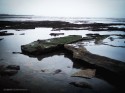 silence nature 1