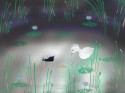The water lily pond