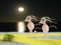 Moonlight frolic