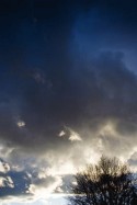 New Mexico Winter Light