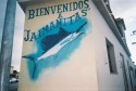 aguja del golfo