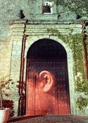 Color Photograph