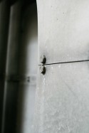 Closeup 5