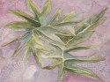 Tropical leaf