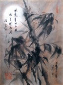 bamboo