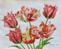 Tulip red.