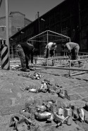 construccion