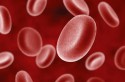 Blood cells