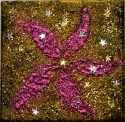 Glitteropium