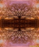 pleasetrees