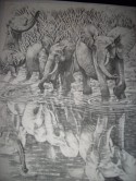elephants
