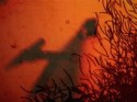 Crazy Shadow 4