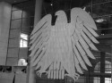 The eagle