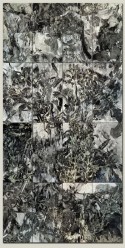 Study III / Key Black Series
