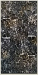 Study V / Key Black Series