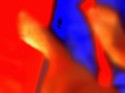 discordia 3