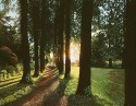 path of light