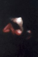 anonimo