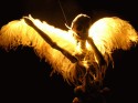 dead angel in lights