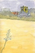 St Marys Church - Yellow Field