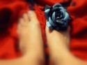 Rosadriano 6