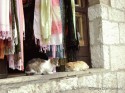 Mostar