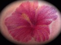 flowerpower