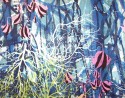 junglefish