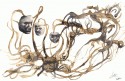 Serie Mascaras. 2