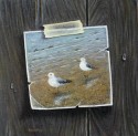 2 seagulls