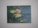 Queen of the Pond