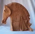 IL CAVALLO DEL PALIO