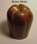 Brown Molar