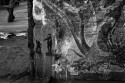 Tacheles