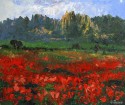 amapolas en montserrat